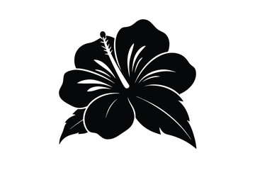 black and white flowers