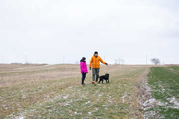 On a brisk, chilly day, our family took a leisurely stroll through a vast open field, where our dog...