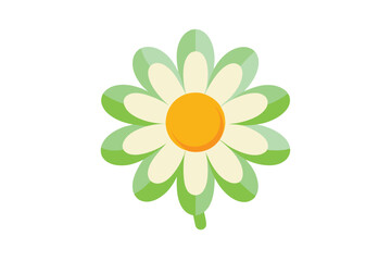 yellow flower isolated on white