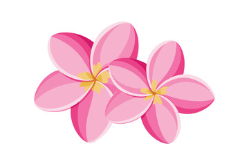 Pink Frangipani or Plumeria Tropical Flowers for Printable Graphic Design