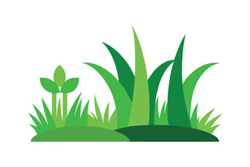 green grass isolated on white