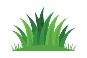 Vector Illustration of Grass 