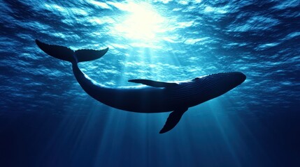 Majestic whale silhouette, sunlit deep ocean scene.