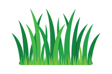 Green Grass Illustration Vector 