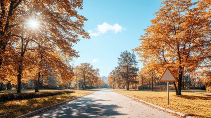 A sunny day in the park.