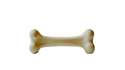 A tough rubber bone chew toy for dogs, designed for durability and dental health. transparent PNG