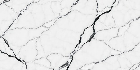 Obraz premium High-resolution image of elegant white marble with prominent black veining patterns perfect for interior design projects