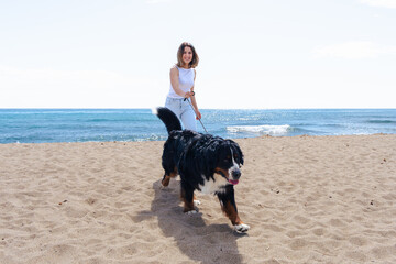 Young woman walking with a Bernese Mountain Dog on a sunny sandy beach with palm trees. Relaxing...