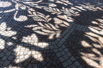 Abstract view of textured cobblestone or stone brick pavement with strong, intricate shadows cast...
