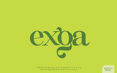 Elegant Serif Font with Playful Ligatures and Modern Vintage Style
