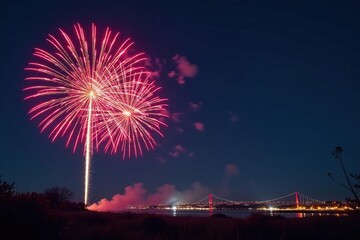 Vibrant firework display explodes in a celebratory burst against a night sky , spectacular, magic, dramatic