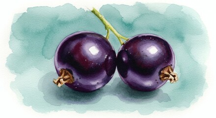 Currant duet in watercolor wash