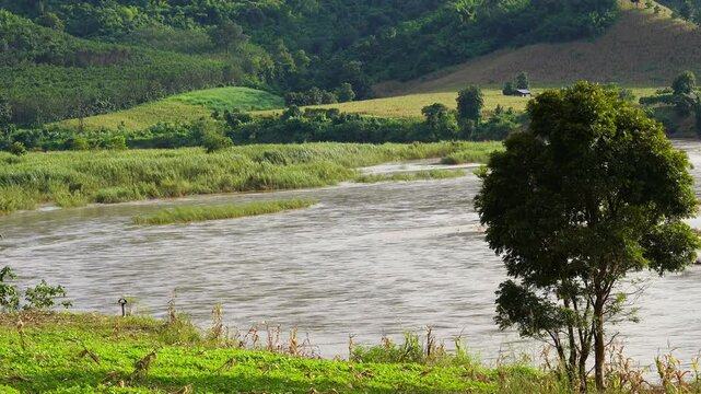 Peaceful Moei river flows through green hills and fields with trees in nature, creating calm and serene landscape under sunlight