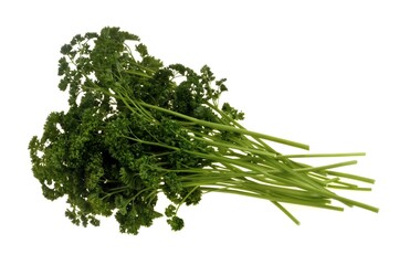 Brins de persil frais en gros plan isolé sur fond blanc