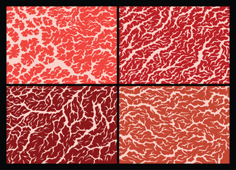 Meat marbled texture set. Raw red fresh meat slice for cooking, aged steak pattern. Macro of premium cow meat background with structure and streaks. Flat cartoon vector illustration