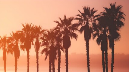 Naklejka premium California Dreamin': Silhouetted Palm Trees Against a Warm, Soft Sunset Sky, Evoking Summer Vibes and a Coastal Paradise