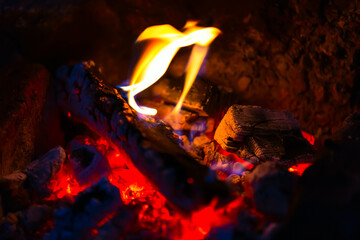 Coals and fire of campfire in the forest closeup