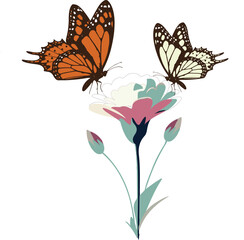 butterfly and flower