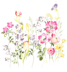 水彩で描いた野の花