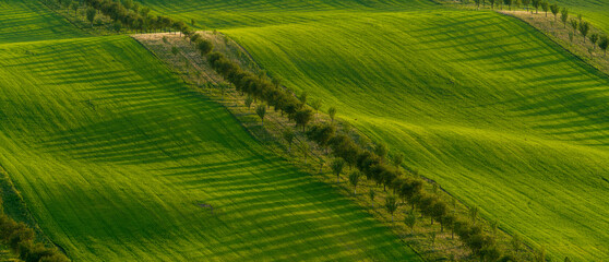 Agricultural fields crisscrossed by ecological strips of spit with trees.South Moravia, Czech Republic.