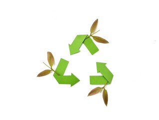 Recycling sign with leaf isolated on white background, sustainability concept 