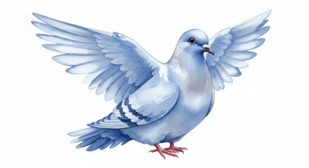 Fototapeta premium Pigeon spreading blue feathered wings