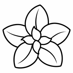 Jasmine Flower Outline Illustration for Botanical and Fragrance-Themed Coloring Book Pages