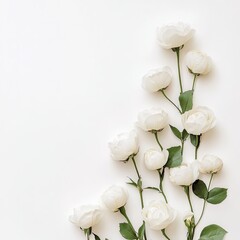 Delicate white flowers arranged in a corner, with greenery