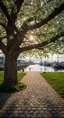 Obraz premium Sunlit Harbor's Embrace