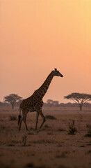 Macro Nature Animals with Moody Tones