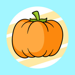 pumpkin illustration