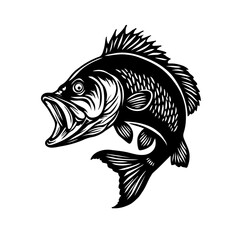 Illustration of bass fish vector 
