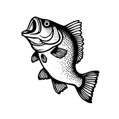 Illustration of bass fish vector 