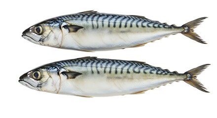 Ocean's Silver Twins AI Generated