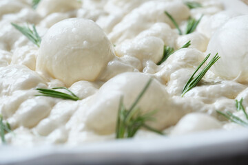 Fluffy bread dough rising in a rectangular pan lined with parchment paper. Showcasing the...