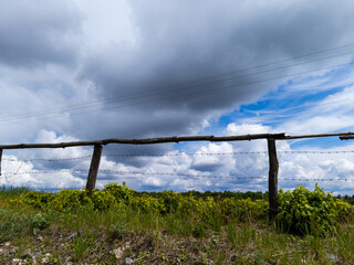 A wooden fence in the middle of a grassy field under a cloudy sky