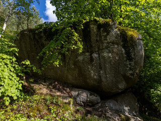 A large rock in the middle of a forest