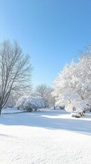 Obraz premium Snow-covered trees, winter landscape, bright blue sky.