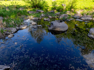 A small stream running through a grassy field with rocks in it