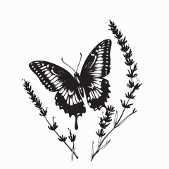 Butterfly Landing on Lavender Flowers in a Summer Garden Scene image vector.