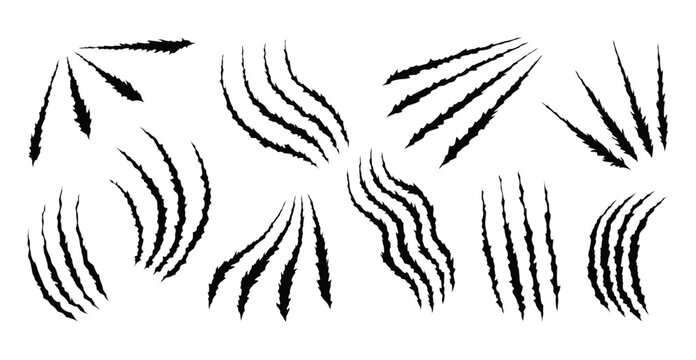 Bear or tiger claw marks. Scratches and torn traces of vector animal paw slashes. Hole in sheet of paper with torn edges. Vector illustration