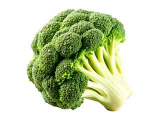 Fresh Green Broccoli Floret on Transparent Background