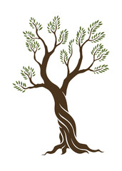 Olive trees with branches and leaves for design of packaging, label, logotype or banner. Natural organic stylized olive icon, premium quality sign. Vector illustration