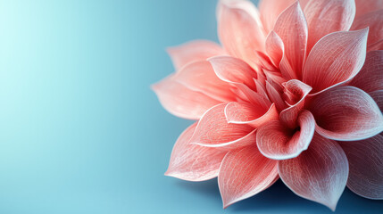 Fototapeta premium A vibrant, realistic 4K 3D render presents a bold salmon flower in side angle view with intricate details against a soft, serene blue background art design.