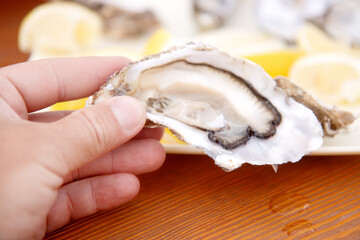 man's hand holding an oyster close-up