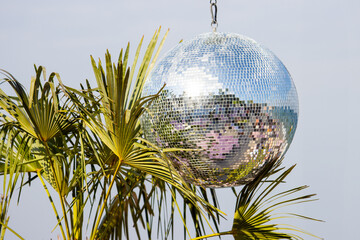 mirror disco ball hanging among palm leaves