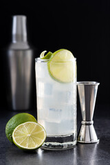 Gin Fizz cocktail with lime on black background