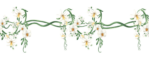 Orchid flowers and tropical liana with green leaves watercolor illustration isolated. Seamless border of blooming climbing plant for jungle design. Hand drawn yellow phalaenopsis in realistic style.