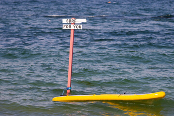 urfboard rental spot with board tied to pole