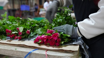 Closeup of woman hands carefully wrap rose stems into bouquet at flower market, fulfilling orders. Fresh cut roses arranged, florist handmade work with floral creations, professional small business
